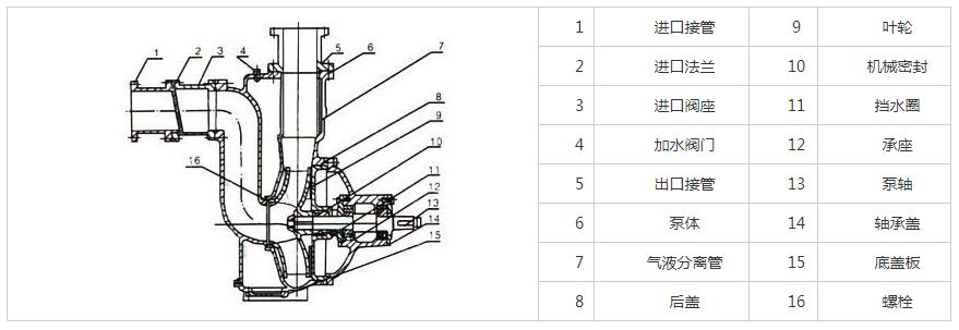ZW不锈钢自吸排污泵结构图